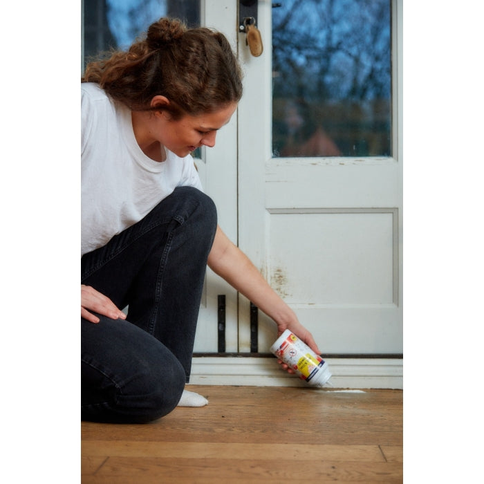 Zero In Ant Killer Powder - 300g