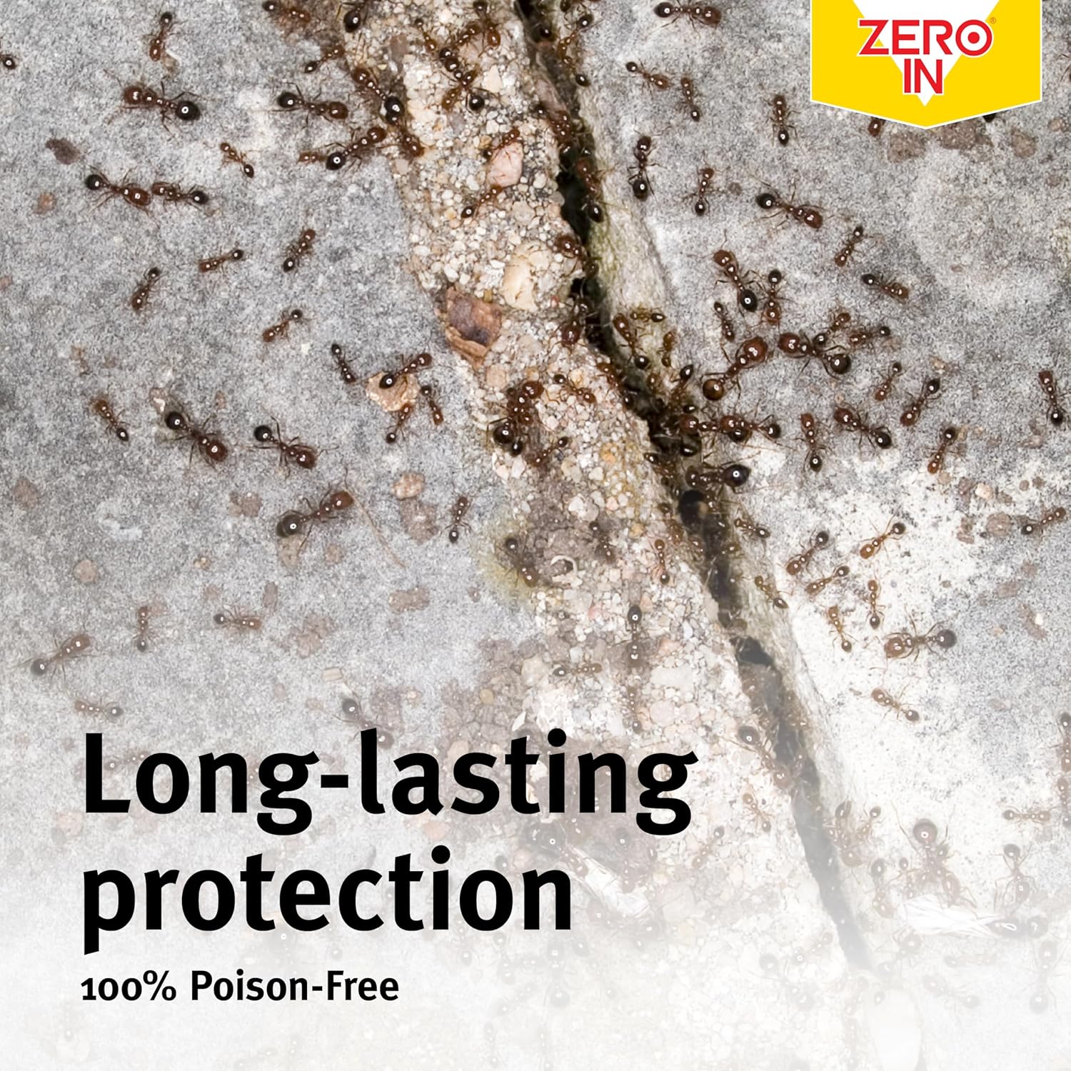 Zero In Ant & Crawling Insect Trap Bait Refills - 4 Pack