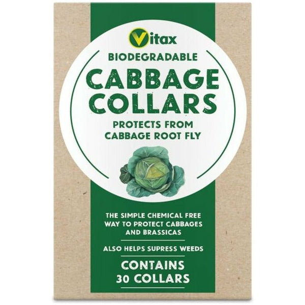 Vitax Biodegradable Cabbage Collars - Pack of 30 Collars