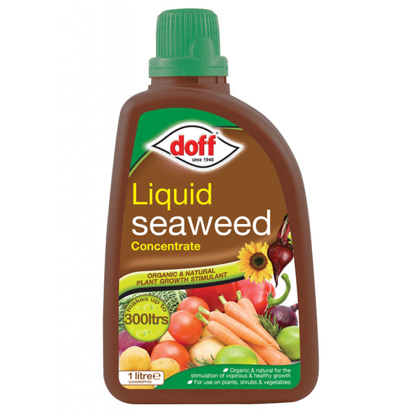 Doff Organic Liquid Seaweed Plant Feed 1 Litre